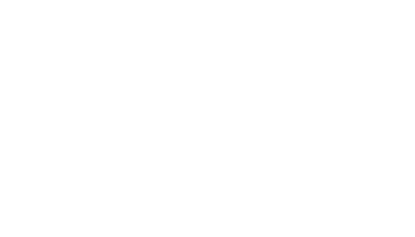 Annex Investments Logo